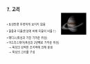 목성에 대해서 12페이지