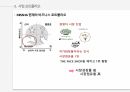 WHY MISSHA,MISSHA,소비자에서 시작한 미샤 마케팅,변화하는 미샤,미샤의 현재 한계에 대한 고민 12페이지