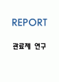 관료제 장점 문제점분석과 올바른 방향제시 1페이지