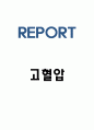 고혈압 발생기전과 증상 및 치료법 1페이지