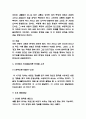 피아제 인지발달이론 연구 및 비판 4페이지