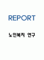 노인복지 국내 해외 사례연구 및 향후방향 제시 1페이지