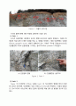 터널 유출부 사면 안정성 평가 사례 (지표지질조사, 보강공법, 굴착 유의사항 포함) 2페이지