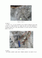 터널 유출부 사면 안정성 평가 사례 (지표지질조사, 보강공법, 굴착 유의사항 포함) 3페이지