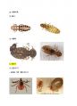 위생사 실기 사진 모음 24페이지