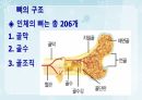성인간호학(근골격계질환,은하출판사) 4페이지