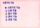 성인간호학(소화기계질환,은하출판사) 9페이지