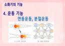 성인간호학(소화기계질환,은하출판사) 12페이지