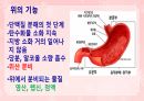 성인간호학(소화기계질환,은하출판사) 28페이지