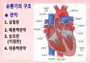 성인간호학(순환기계질환,은하출판사) 5페이지