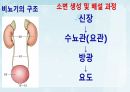 성인간호학(비뇨생식기계질환,은하출판사) 4페이지