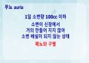 성인간호학(비뇨생식기계질환,은하출판사) 16페이지