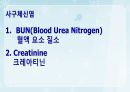 성인간호학(비뇨생식기계질환,은하출판사) 31페이지