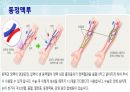 성인간호학(비뇨생식기계질환,은하출판사) 47페이지