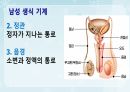 성인간호학(비뇨생식기계질환,은하출판사) 57페이지