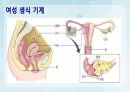성인간호학(비뇨생식기계질환,은하출판사) 59페이지