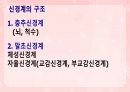 성인간호학(신경계질환,은하출판사) 4페이지