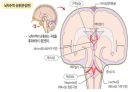 성인간호학(신경계질환,은하출판사) 7페이지