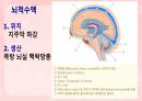 성인간호학(신경계질환,은하출판사) 8페이지