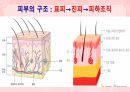 성인간호학(피부계질환,은하출판사) 5페이지