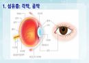 성인간호학(안과질환,은하출판사) 6페이지