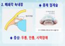 성인간호학(안과질환,은하출판사) 40페이지