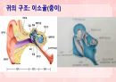 성인간호학(이비인후과질환,은하출판사) 6페이지