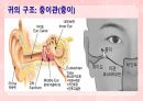 성인간호학(이비인후과질환,은하출판사) 7페이지