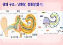 성인간호학(이비인후과질환,은하출판사) 9페이지