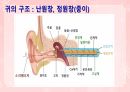 성인간호학(이비인후과질환,은하출판사) 10페이지