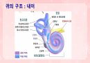 성인간호학(이비인후과질환,은하출판사) 13페이지
