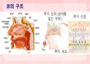 성인간호학(이비인후과질환,은하출판사) 35페이지