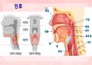 성인간호학(이비인후과질환,은하출판사) 53페이지