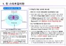 린 스타트업의 이해 5페이지