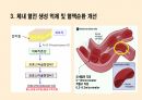 혈행개선 건강기능성식품 17페이지