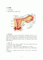 Uterine myoma 사례연구, 간호사례, case study 4페이지