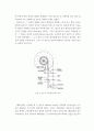 Jar test 자테스트 실험방법 2페이지