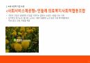 사회적기업 발표자료 13페이지