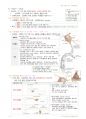 정리-인체구조와 기능1 36페이지