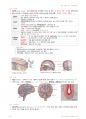 정리-인체구조와 기능1 40페이지