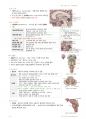 정리-인체구조와 기능1 44페이지