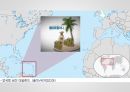 Tax Haven과 Tax Heaven 사이 8페이지