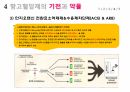 완)고혈압피피티 20페이지