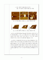 [고분자공학실험및설계] 전체 실험 레포트 - 4가지 10페이지