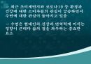 문화트렌드로서의 슬리포노믹스 성장과 현황 4페이지
