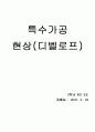 특수가공 실험(실습) 보고서 반도체 현상 공정 4페이지