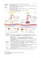 필기 정리-인체구조와 기능 2 9페이지