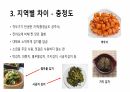 김치에 대해서 6페이지