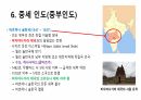 인도의 역사 51페이지