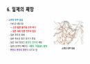 태평양 전쟁에 대해서 17페이지